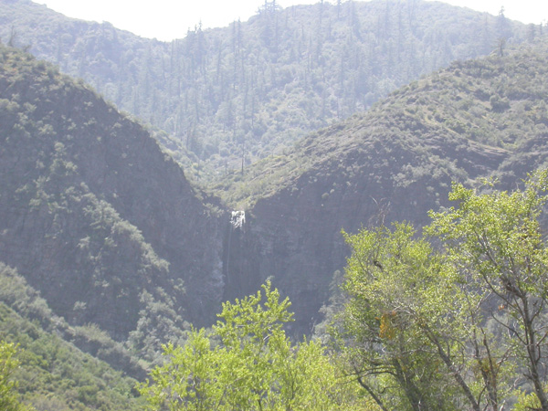 DSCN1953