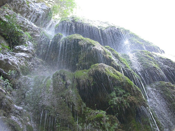 DSCN1982